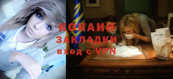 твердый Осинники