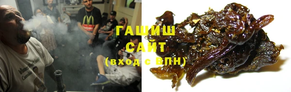 a pvp Тайга