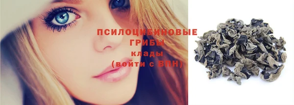 мет Пересвет