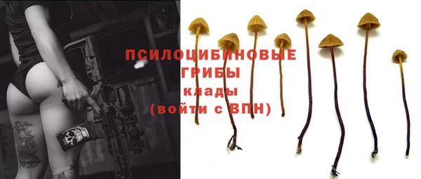 мет Пересвет